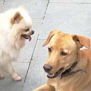 三大国家会计学院,三大国家会计学院考研难度