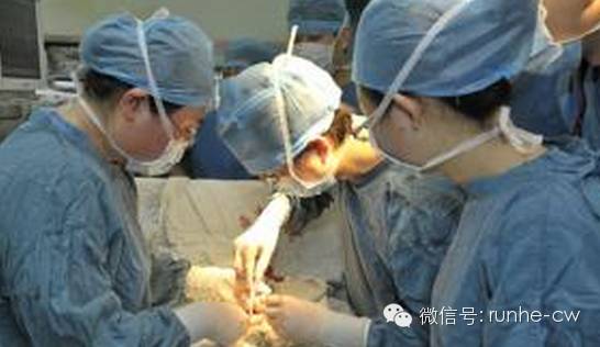 新生儿切了一个卵巢,胎儿切除一侧卵巢能不能再长出来