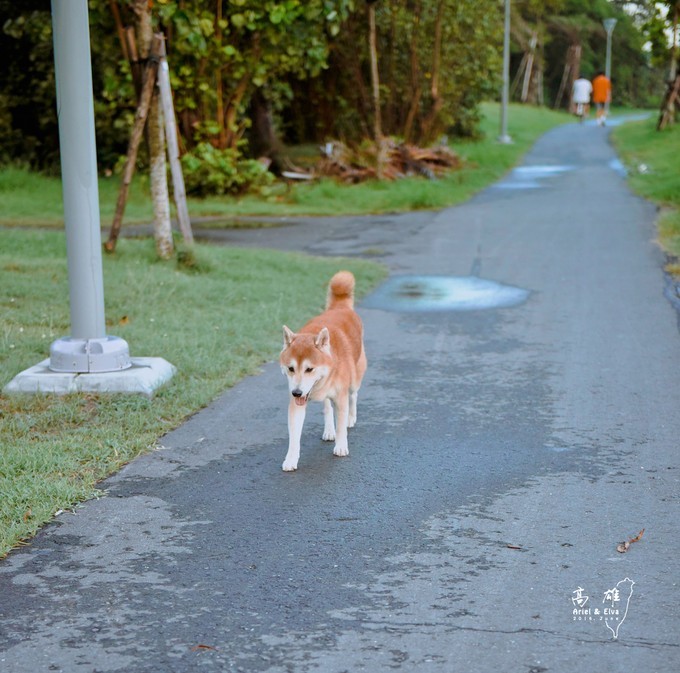 2017台北高雄垦丁花莲之旅,台北花莲垦丁自由行攻略