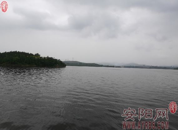 广东水库网箱养鱼,西大洋水库哪年取缔网箱养鱼