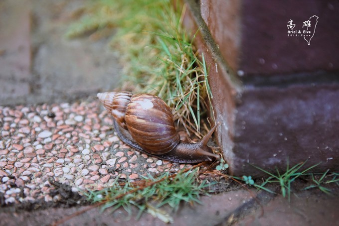 2017台北高雄垦丁花莲之旅,台北花莲垦丁自由行攻略