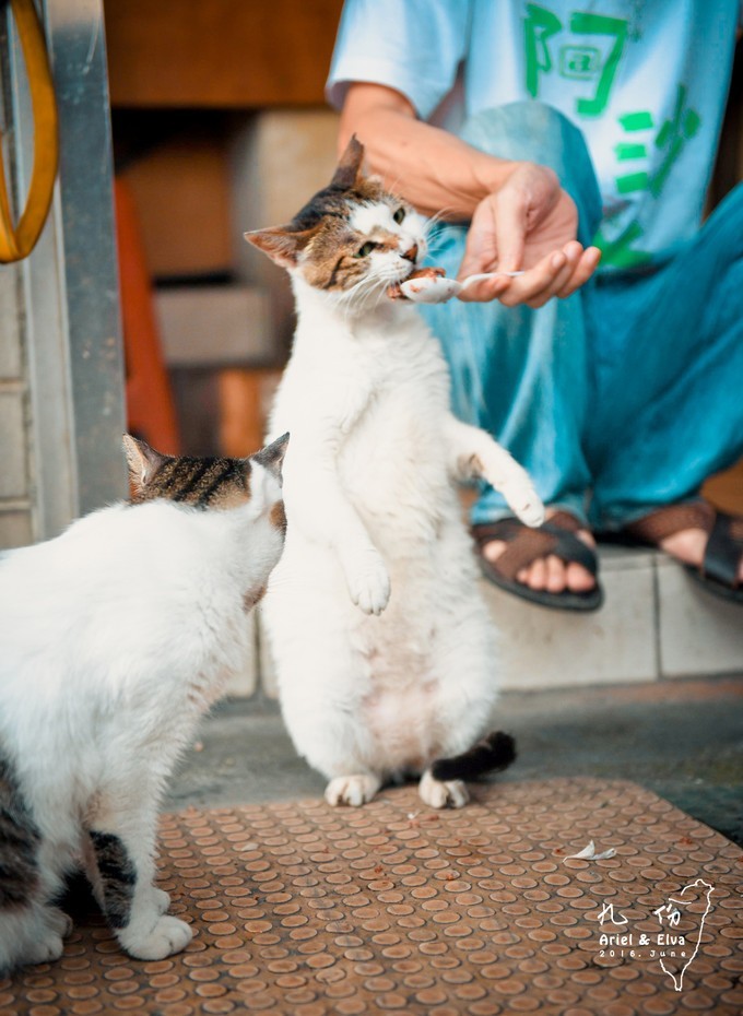 2017台北高雄垦丁花莲之旅,台北花莲垦丁自由行攻略