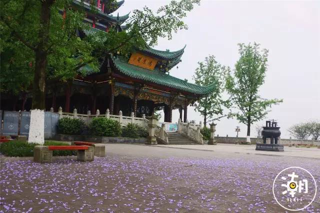 重庆桂花园景点,重庆桂花公园免费