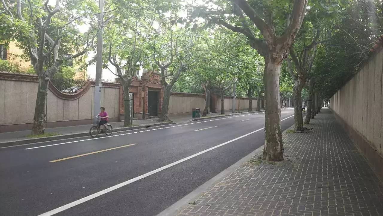 上海四条好看的马路,上海最美一条街