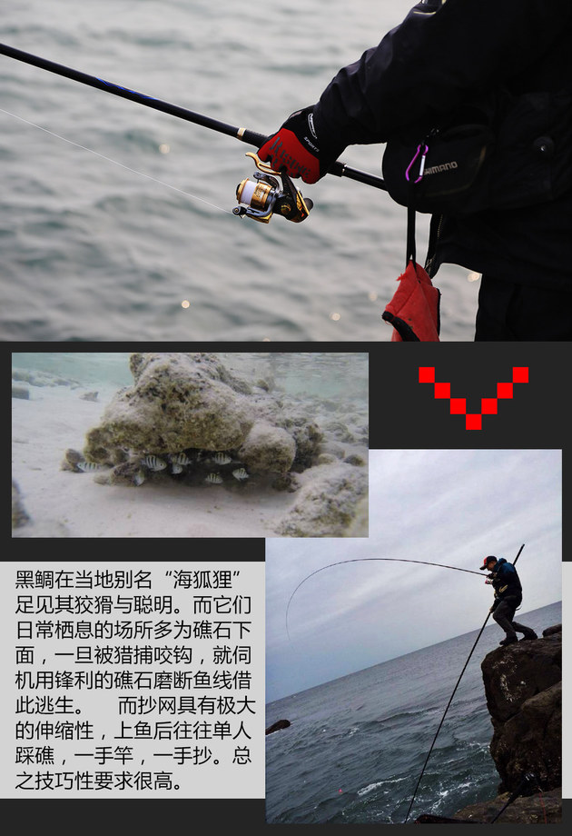 达人映像矶钓发烧友带你体验黑鲷天堂