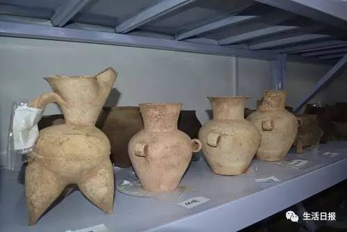 生活早报‖济南拆除百亩违建养牛场，588头奶牛大挪窝