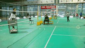 福建厦门籍羽毛球世界冠军,福建羽毛球出的世界冠军