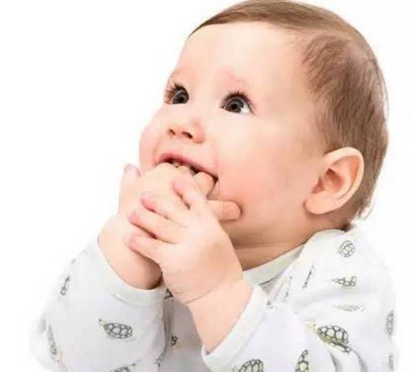 美国奶粉哪个品牌最好,美国成人奶粉品牌大全