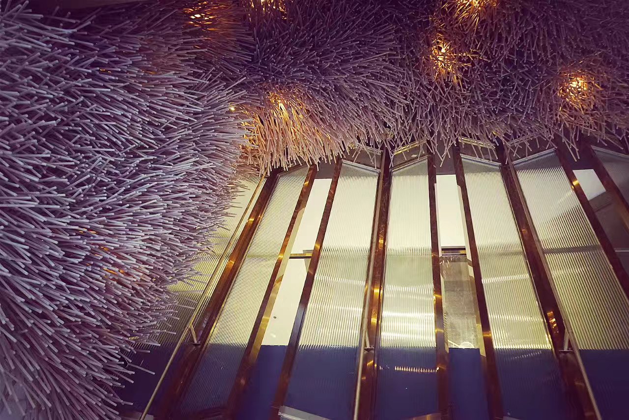 吃了一周,发现夏天原来那么可爱