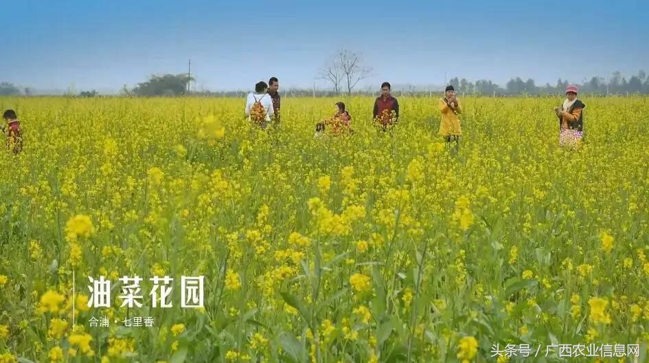 广西苏式园林,合浦周边园林