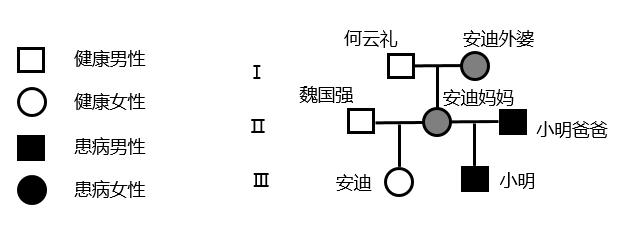 安迪精神病遗传几率有多大,欢乐颂2安迪告诉包奕凡精神病