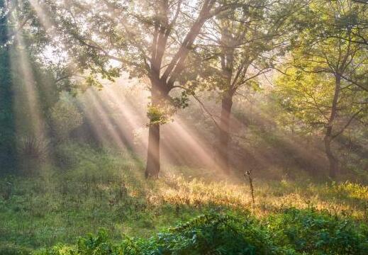 快速成为精英的四大标准,如何快速成为领导心腹的六种方法