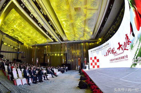 中宁民营经济发展进入西部百强县,中宁生产总值