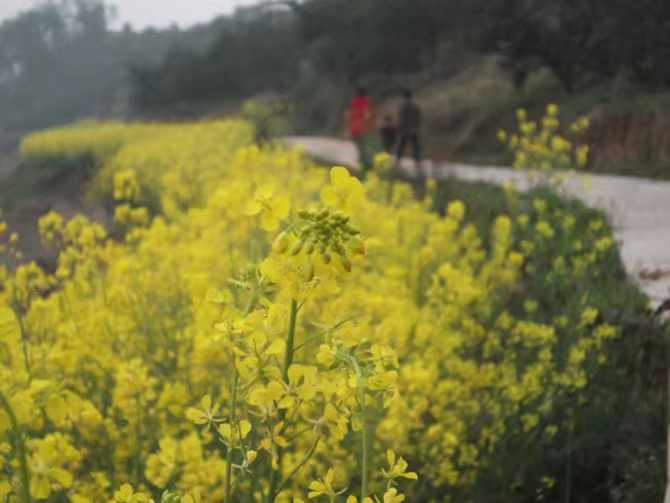 “你的生活有趣么?”——王奶奶印象