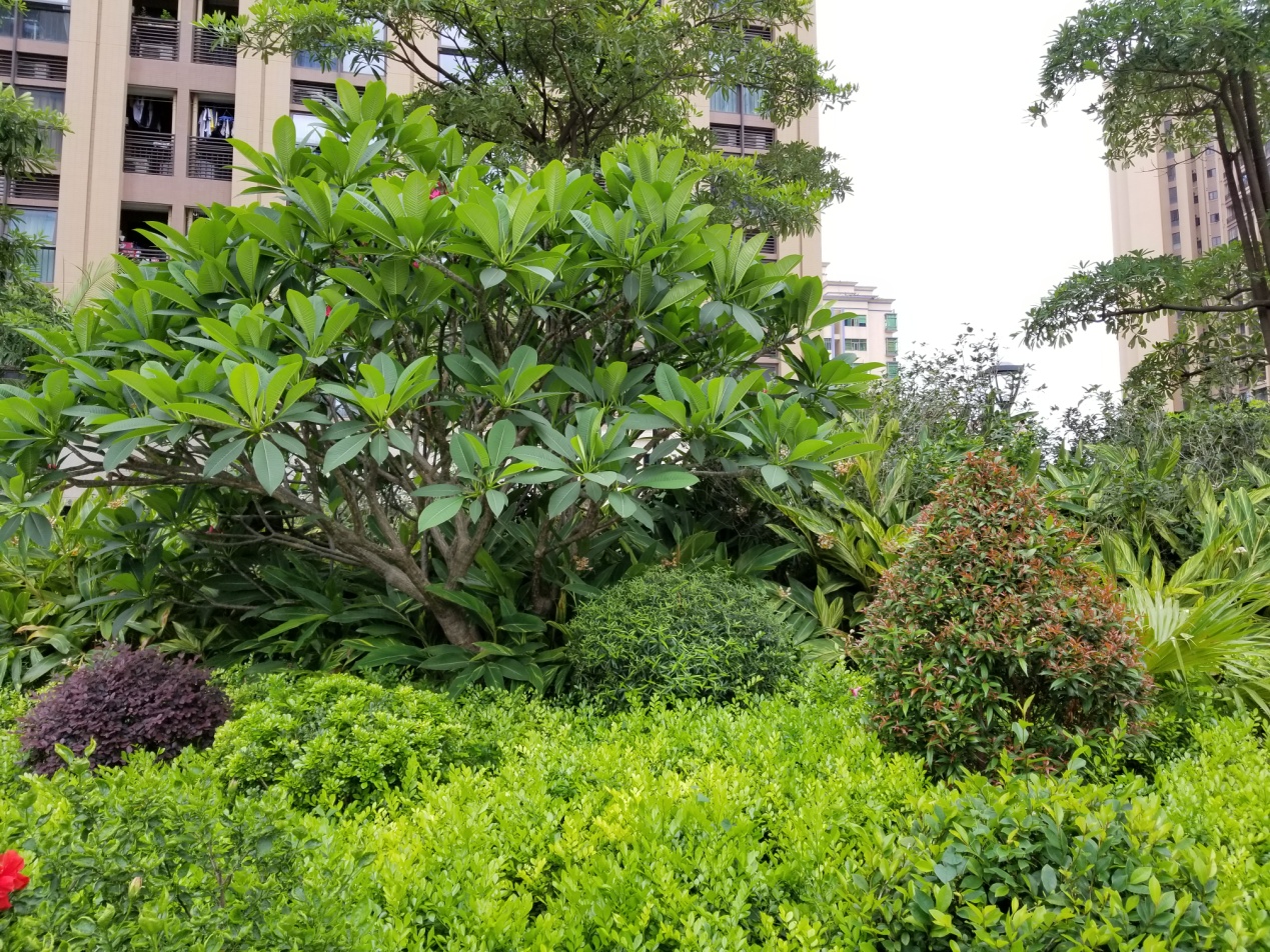 三星galaxys8+值得入手吗,三星galaxys8轻奢版开箱