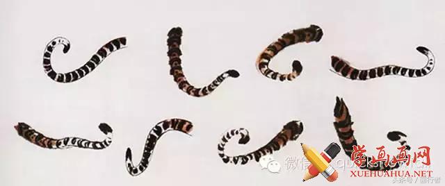 画虎年的老虎,如何画虎年的老虎