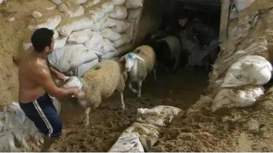 在地球另一边,在地球的另一边完整版