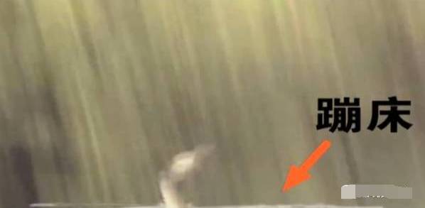 神马！IP大剧不特效就不算大制作？其实特效的鼻祖大有人在