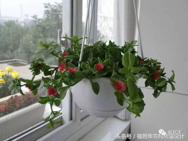 农村老家的自建房房间朝西，晒得很厉害，该怎么解决？