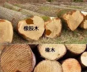 1000元能买到真正的沉香吗,1000元能买到真的沉香手串吗