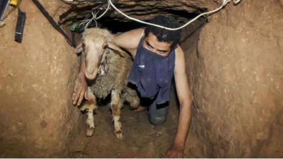 在地球另一边,在地球的另一边完整版