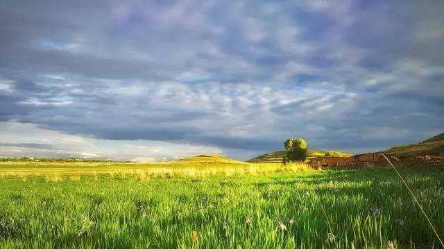 山丹军马场几月份最漂亮,山丹军马场特色