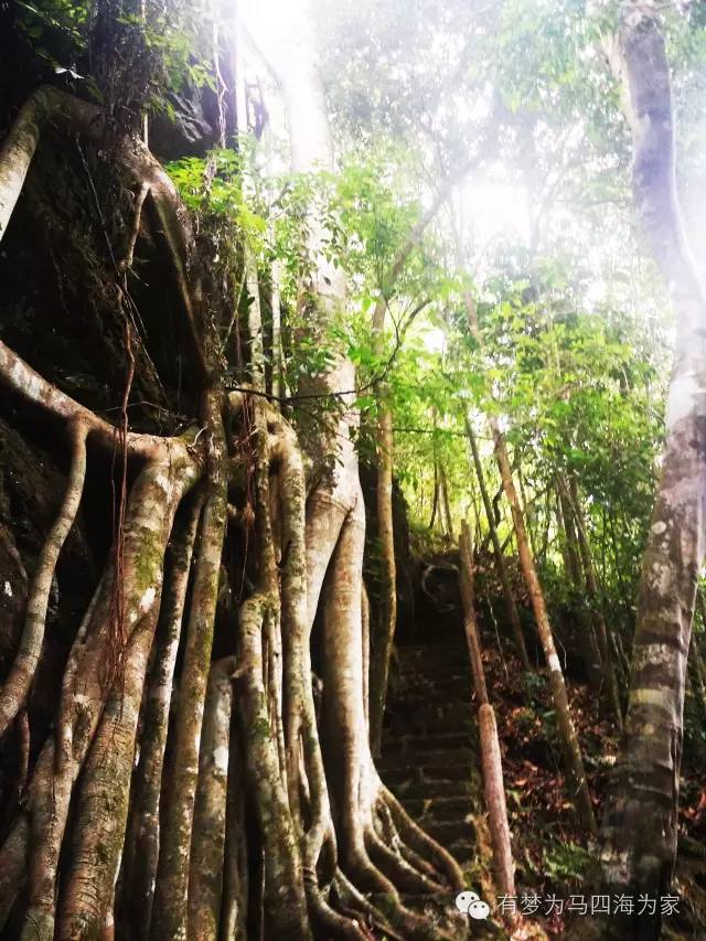 国内居然还有用人头祭祀的神秘部落！淘宝掌柜环游旅行第二十七集