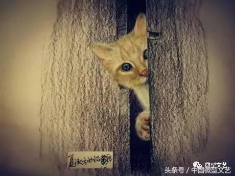 王子红尘品读美静杯诗歌