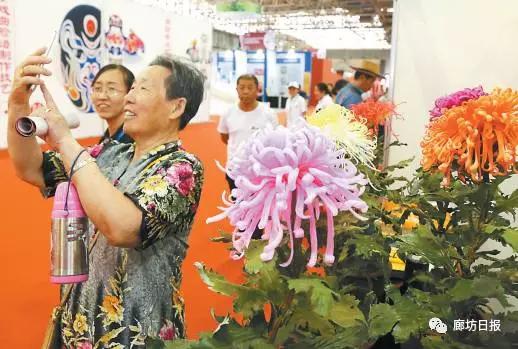 廊坊非遗展,京津冀非遗联展2024