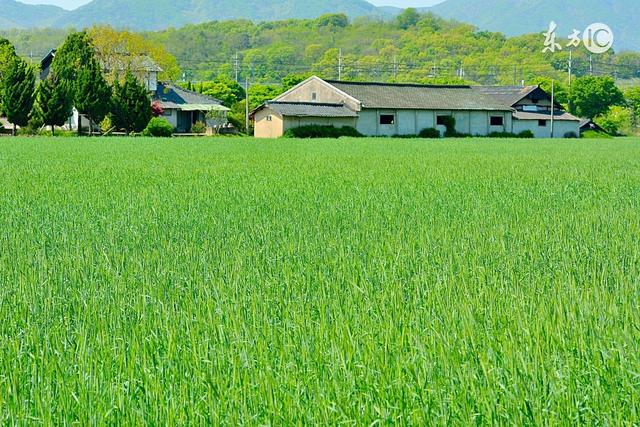 乡村生活的古诗村居,借景抒情田园古诗