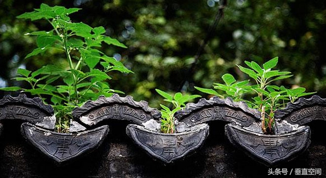 穿梭在胡同里感受老北京,老北京胡同之旅