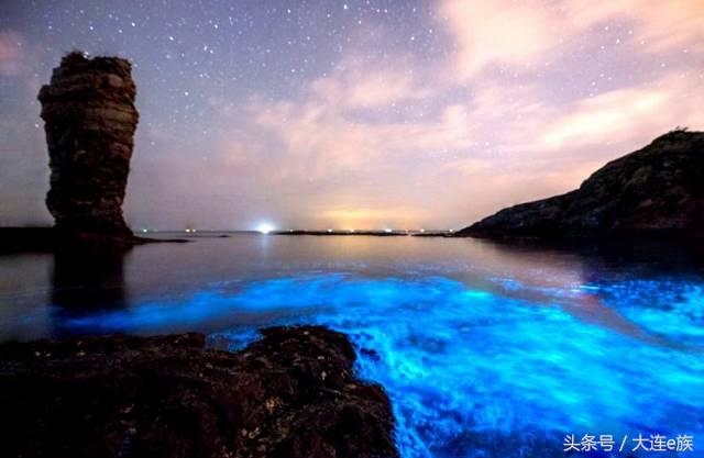 大连沙河口西岗中山哪个区最大,大连市区中山西岗沙河口