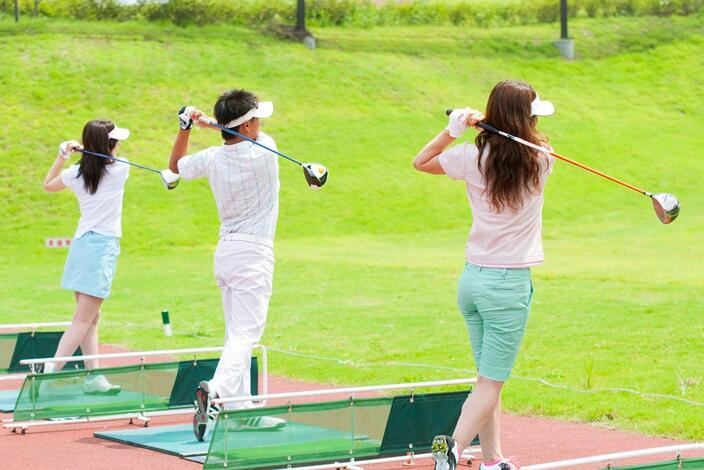 全球高尔夫球球星排名前十,全球十大最好的高尔夫球杆