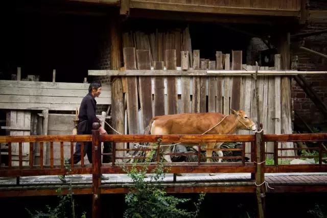 贵州黔东南自由自在的生活,在黎平想做兼职有哪些