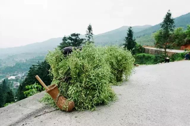 贵州黔东南自由自在的生活,在黎平想做兼职有哪些