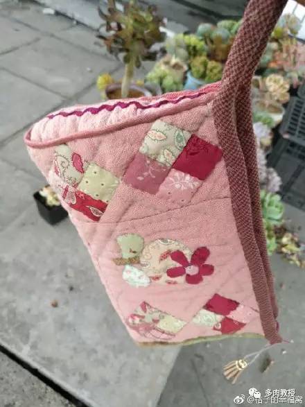 多肉的奇特之处,养的多肉长了蘑菇