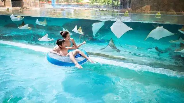 夏一站—深夜的啤酒比清晨的白粥好喝!尤其是虎牌的!