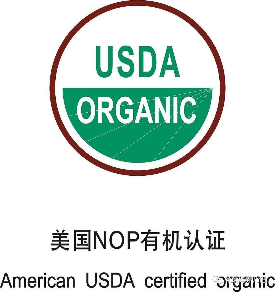 进口婴儿零食排行榜前十名,零添加的宝宝零食测评