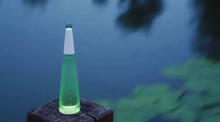 香水入门到高级,香水入门盲选