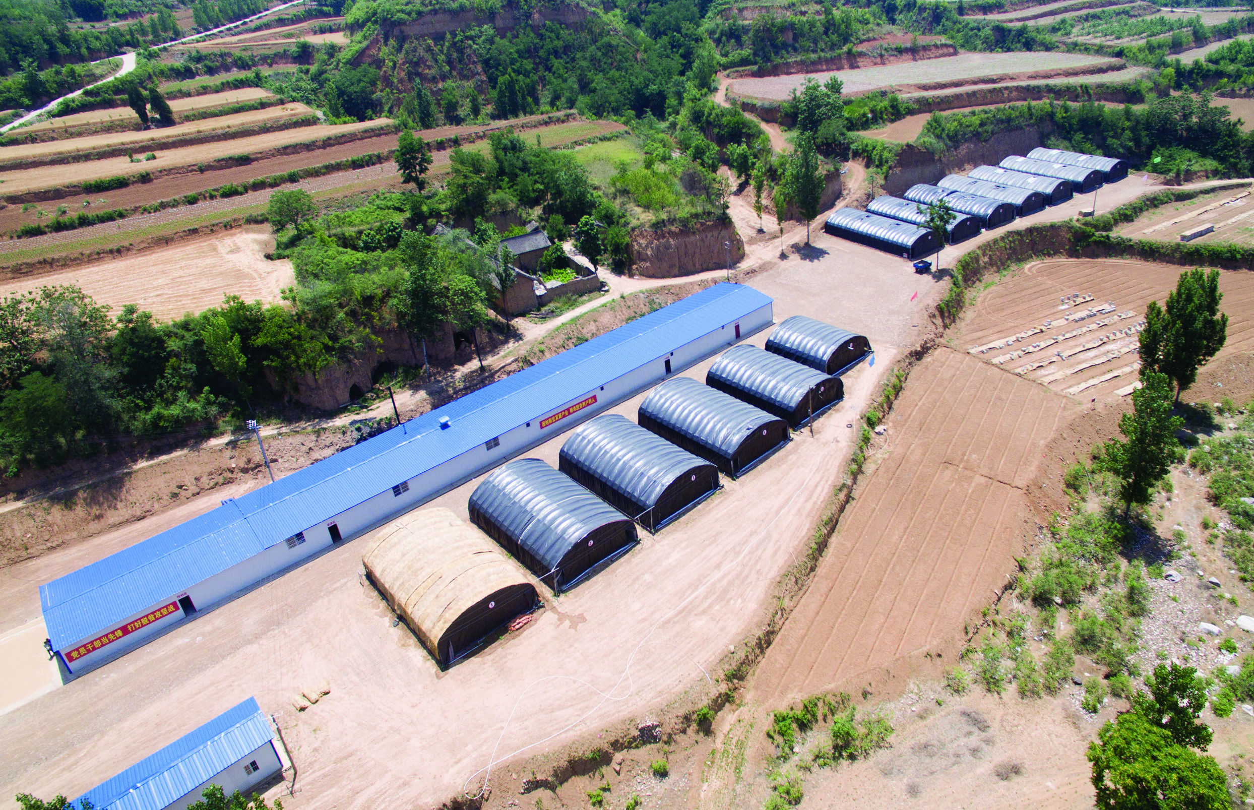 奋力书写新时代奋斗答卷,奋力书写脱贫奔小康的酉阳答卷