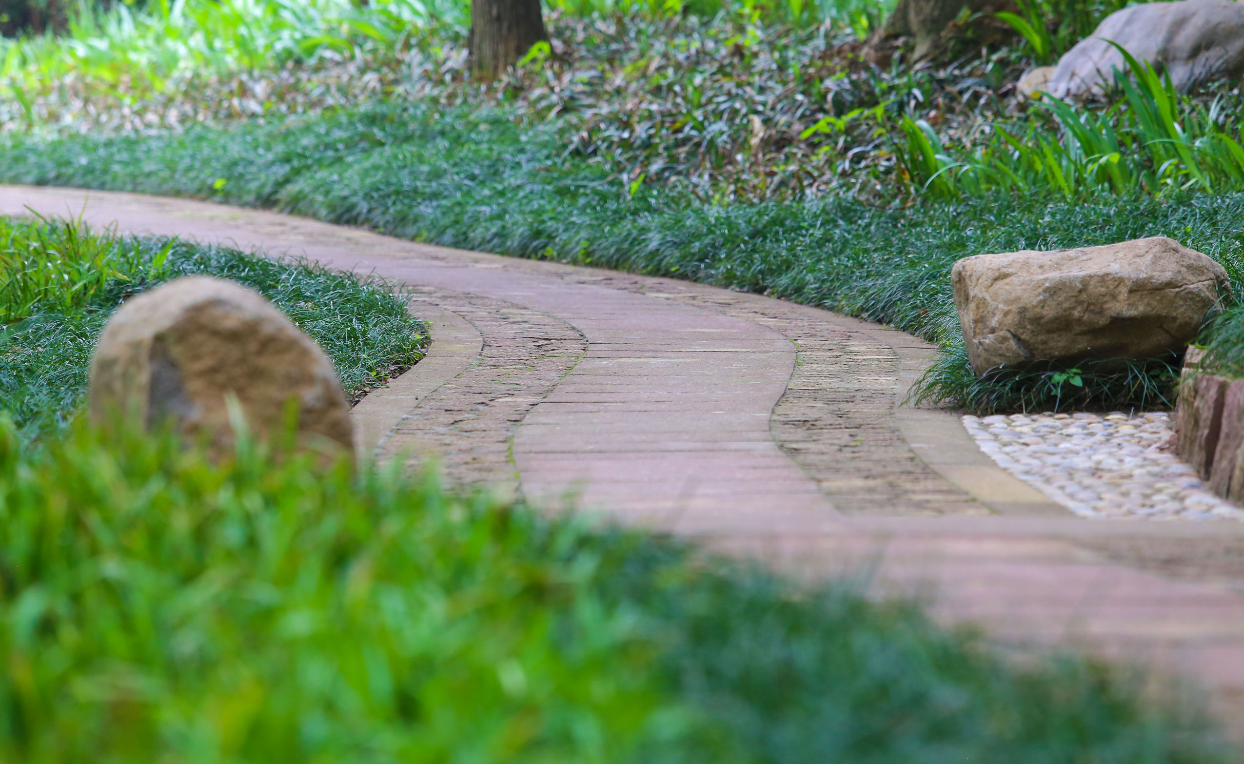 上市公司员工薪酬排行榜,最赚钱的垄断上市公司