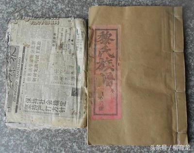 黎氏宗谱 (黎氏历史)