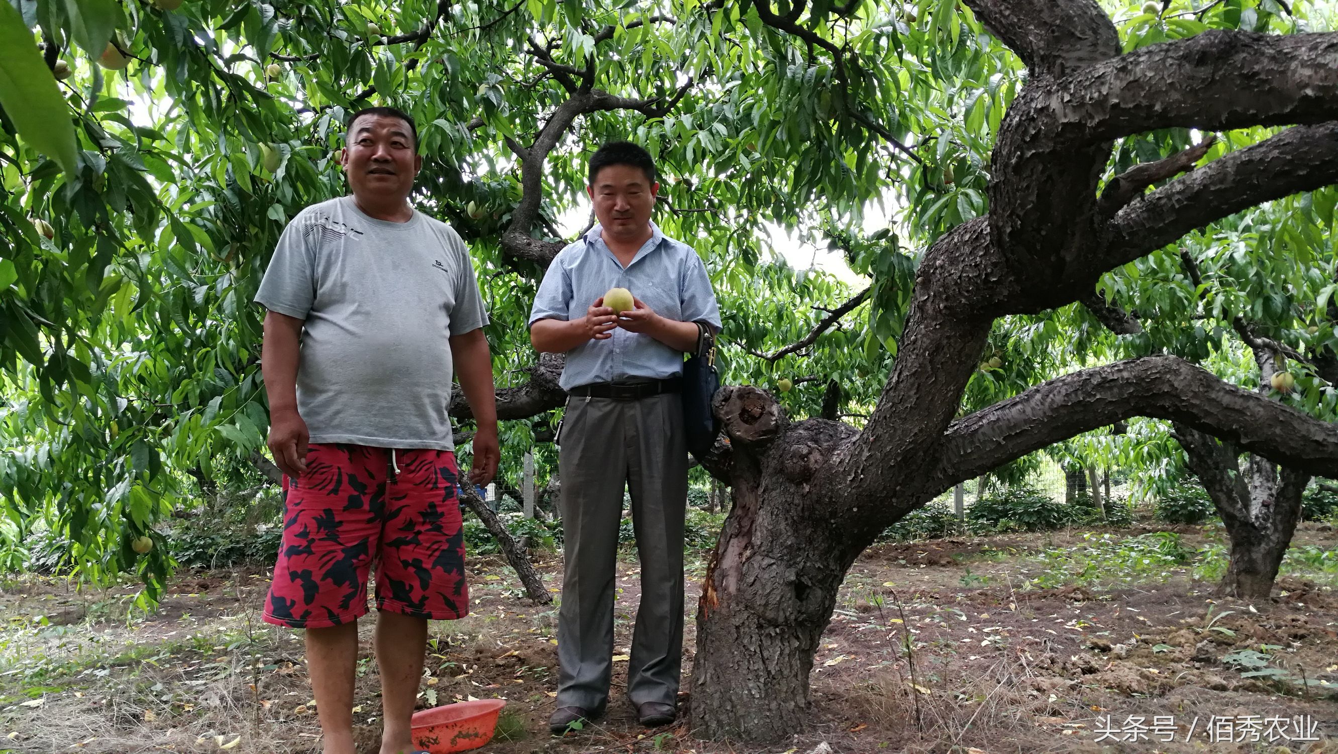 农村人赚钱的方法,农村赚钱三个小技巧