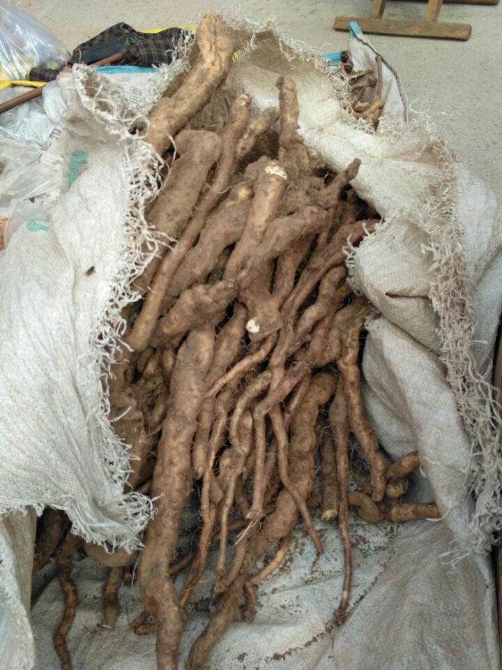 农村山里有什么特产,不起眼的农村土特产是什么