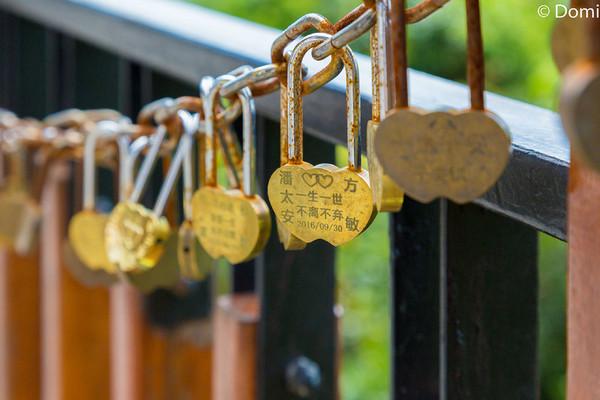一顿海鲜大餐都有什么,海鲜大餐又便宜又营养又好吃