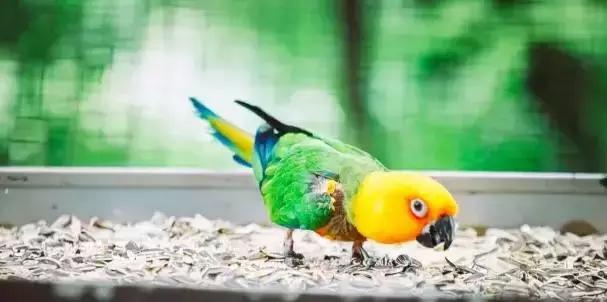 夏一站—深夜的啤酒比清晨的白粥好喝!尤其是虎牌的!