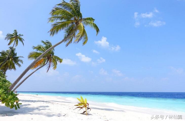 马尔代夫性价比最高的6星岛屿,马尔代夫岛屿面积排名