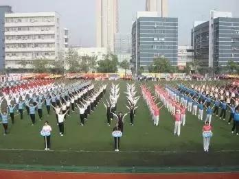 深圳龙岗区私立小学排名一览表,深圳龙岗坂田小学排名一览表