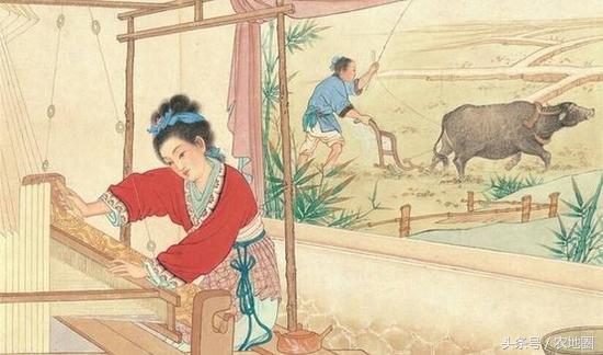 土地会增长吗,土地会带来房价吗