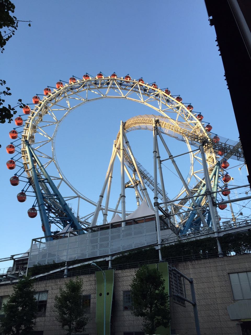 日本物语落樱下的邂逅,浪漫的日本物语